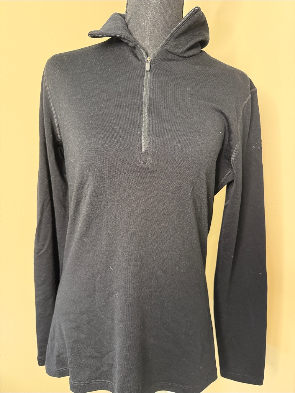 Icebreaker Merino Black Men's Half-Zip Pullover Hoodie